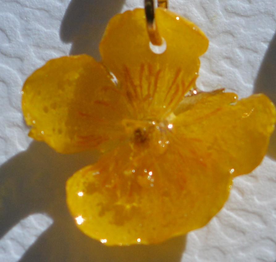 fleurs de bouton d'or - collection de bijoux en fleurs naturelles séchées.
