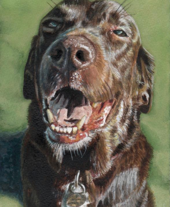 Painting very happy smiley Labrador cross dog, sitting on grass