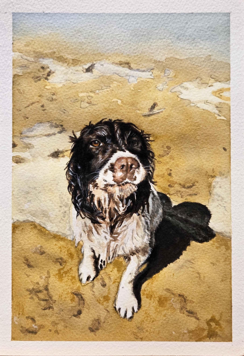Watercolour painting of wet mucky white Spaniel with a brown face. Sat on a sandy beach looking up at the viewer.