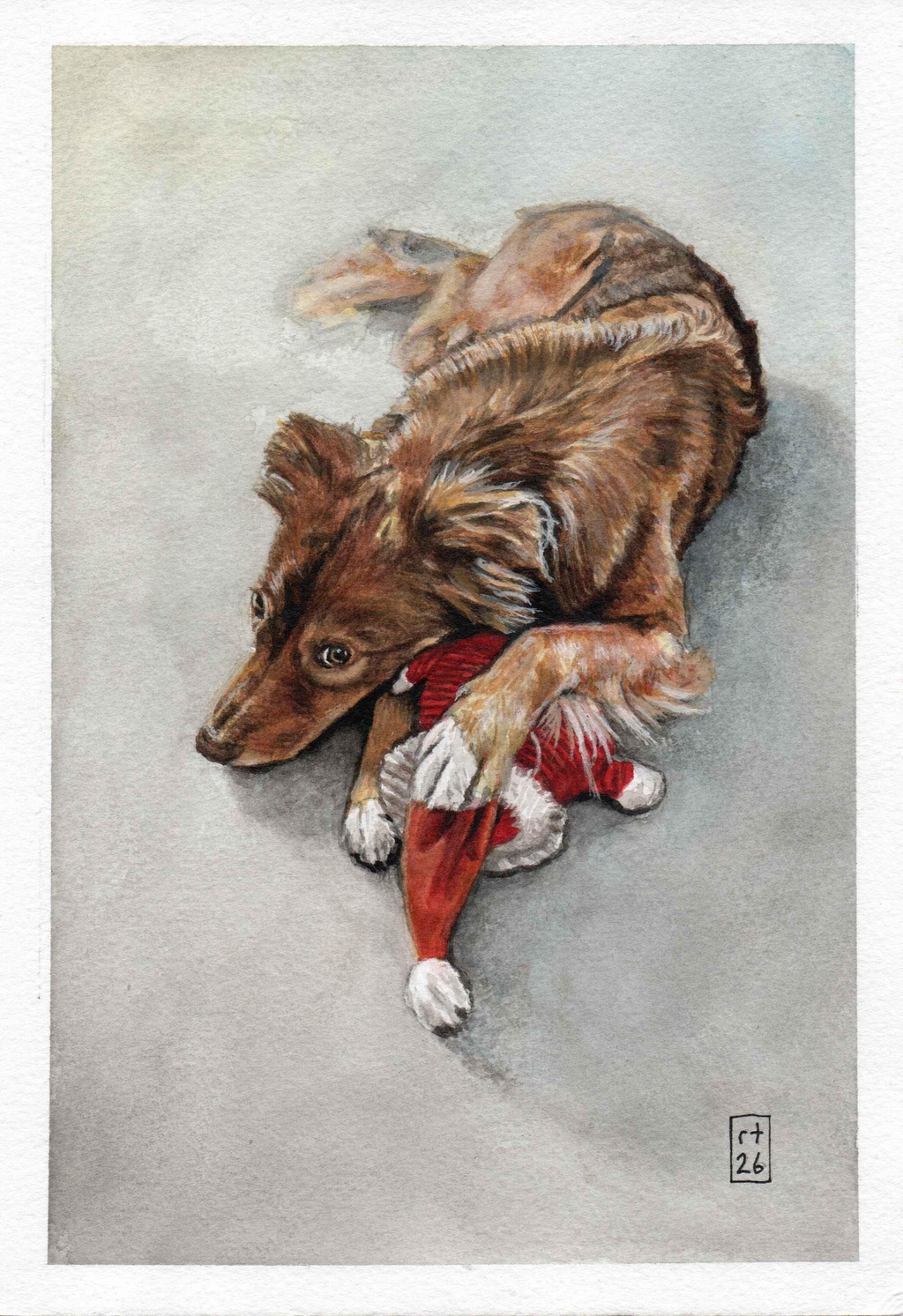 Watercolour painting of red fox like dog sitting on a grey carpet cuddling her favourite Santa toy.