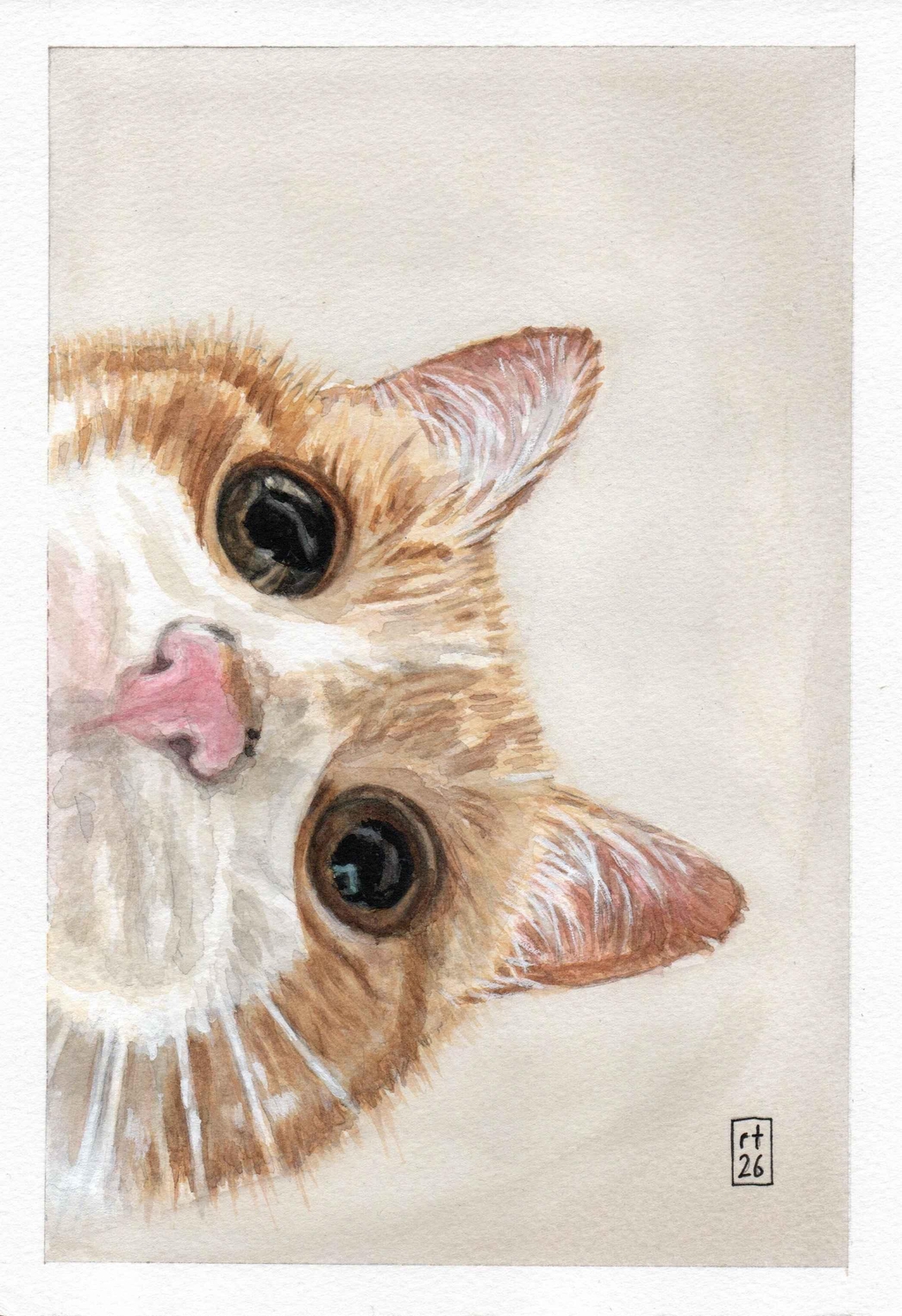Watercolour painting of a ginger cat leaning over the viewer looking expectantly, as if to say feed me