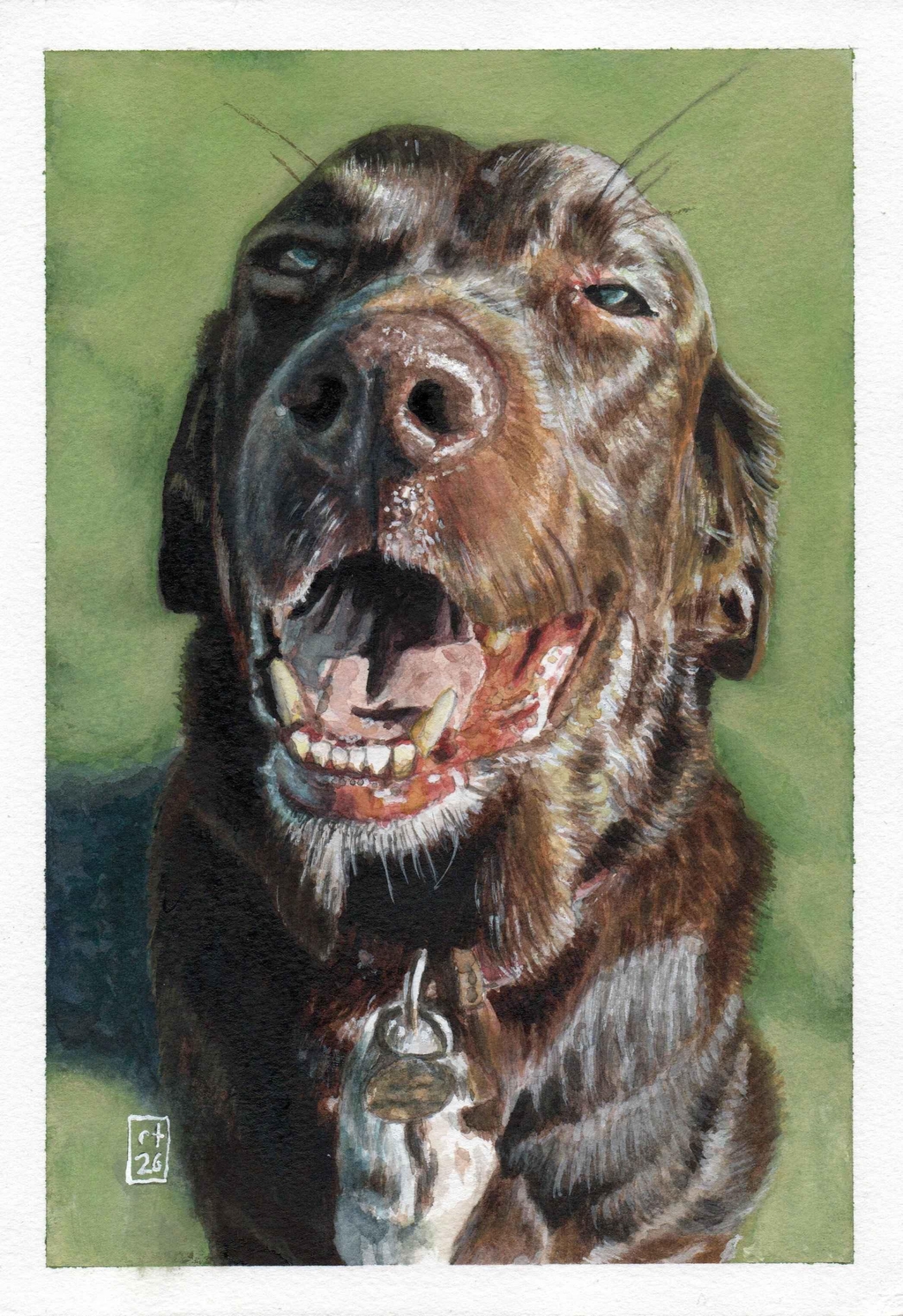 Watercolour portrait of a very happy and smiley Labrador Spaniel cross sitting on grass