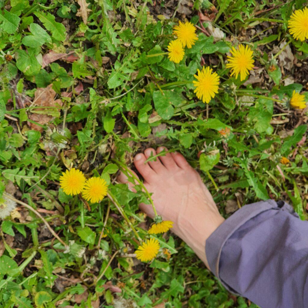 Pourquoi le barefoot ?