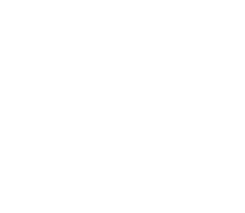 store_logo