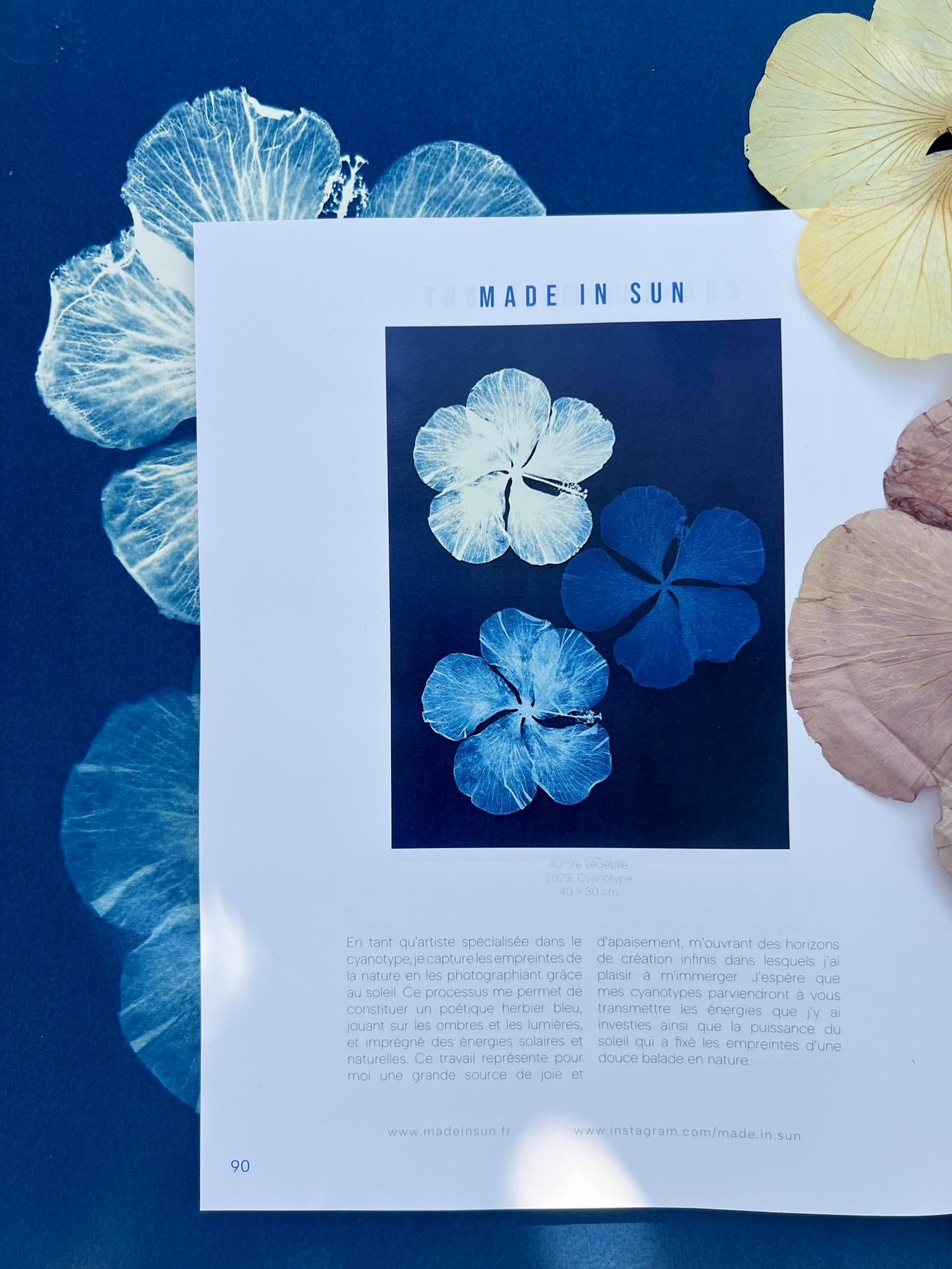 Cyanotype original Made in sun. Article magazine Colorful