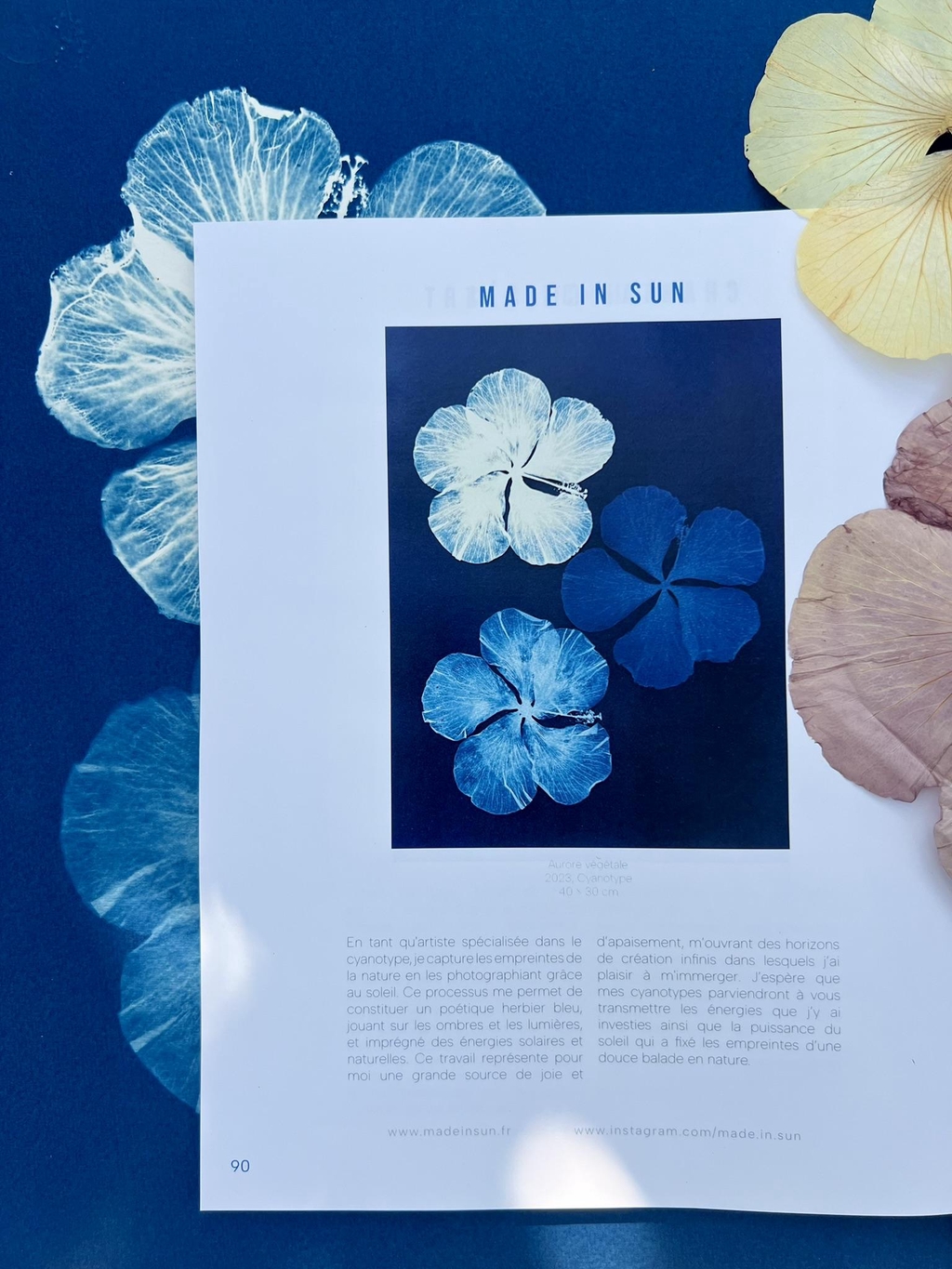Cyanotype original Made in sun. Article magazine Colorful
