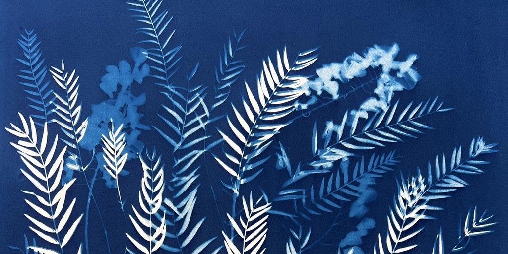 Cyanotypes Made in sun