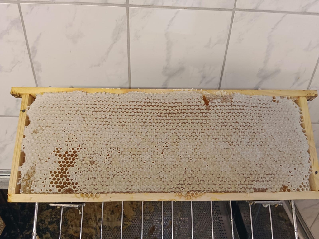 Imkerei Familie Sakac
