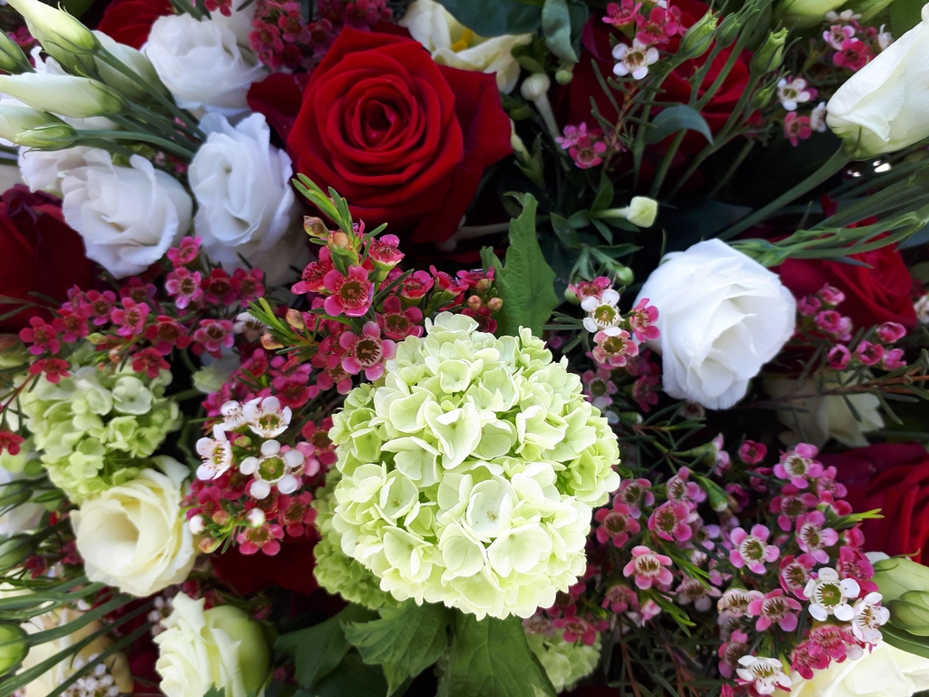 banner_image