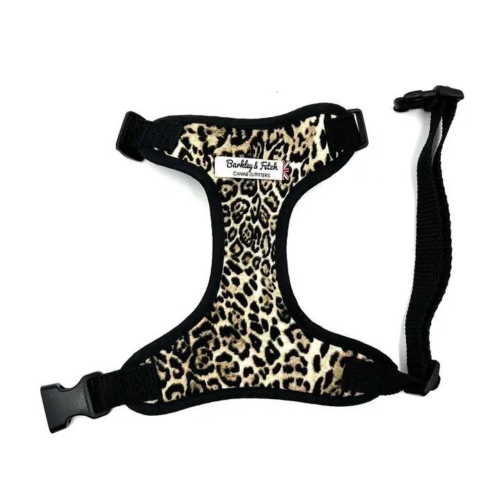 Collars, Leads & Harnesses