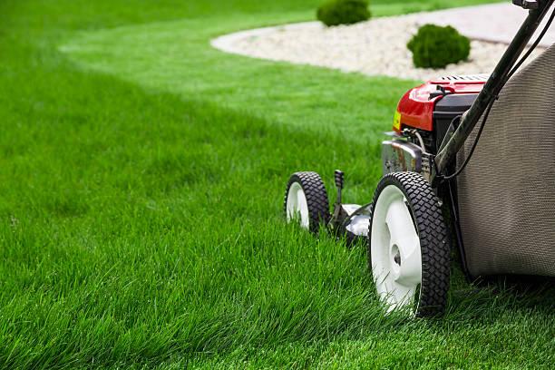 Alexander’s Garden Equipment Servicing