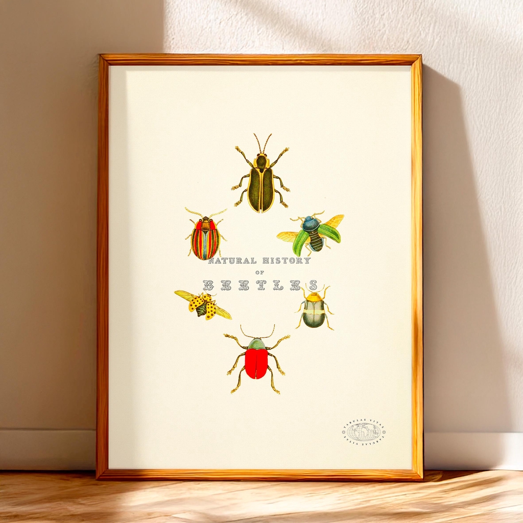 product_list_image_cover