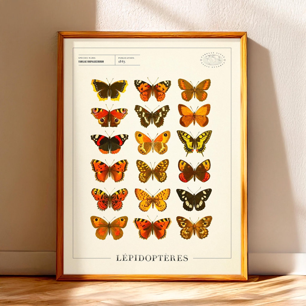 product_list_image_cover