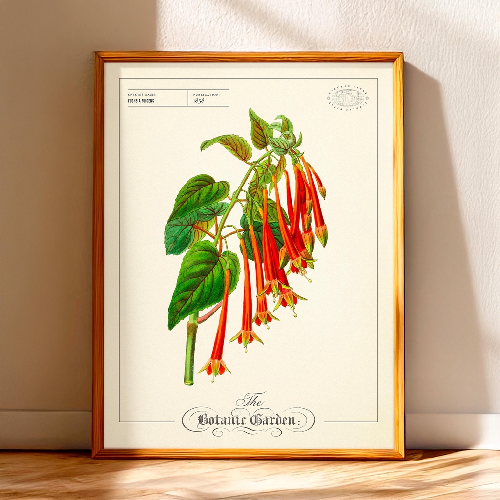 product_list_image_cover