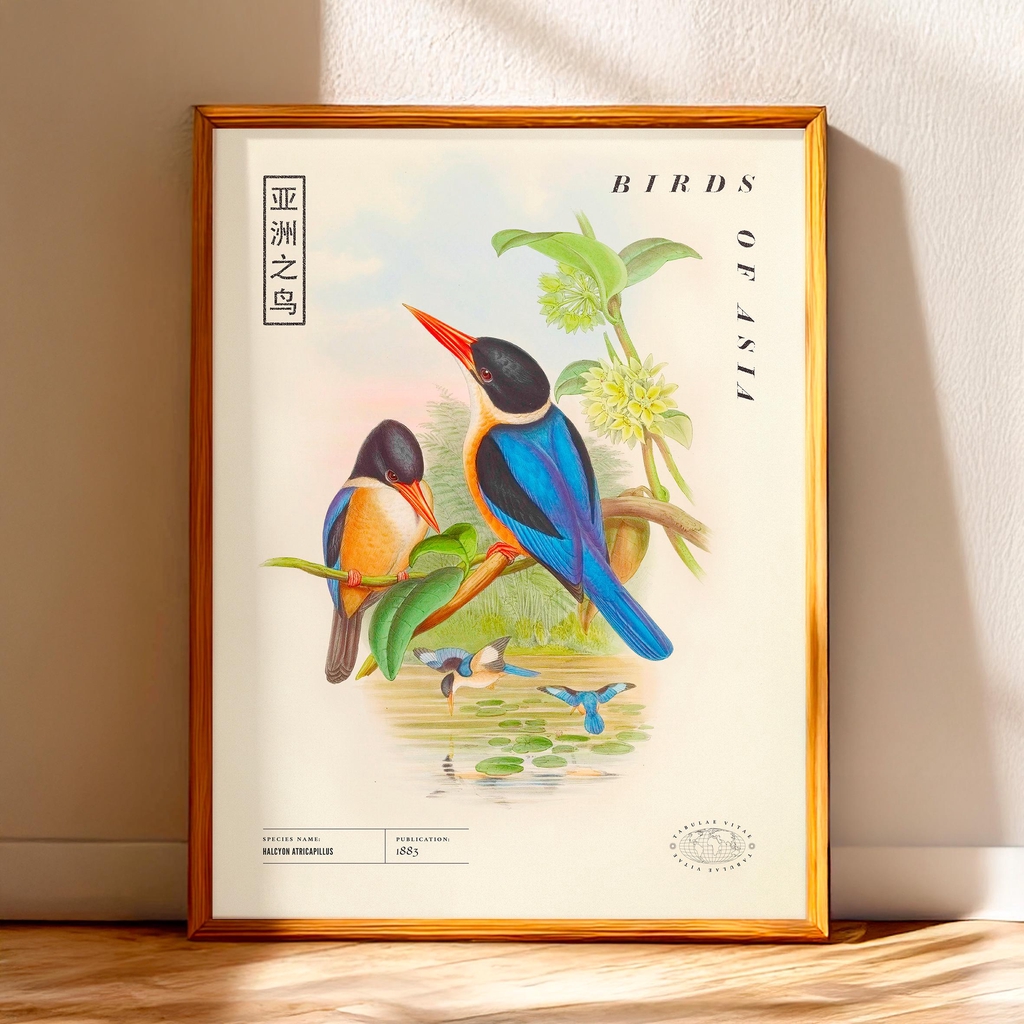 product_list_image_cover