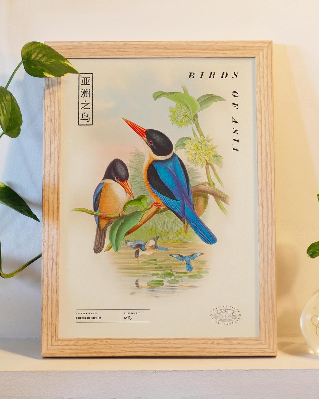 product_list_image_cover