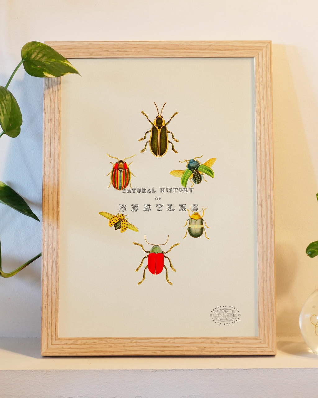 product_list_image_cover
