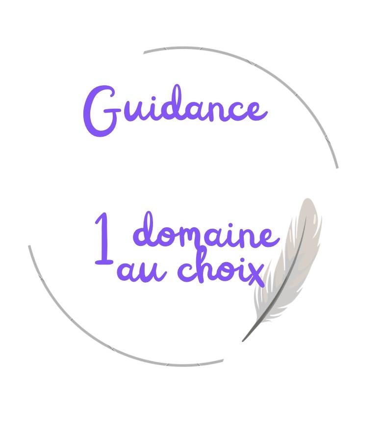 tarologie médium guidance voyanve