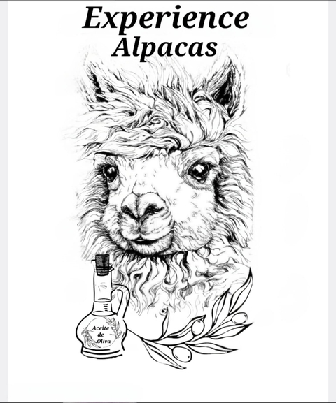 Producten uit onze olijfgaarden