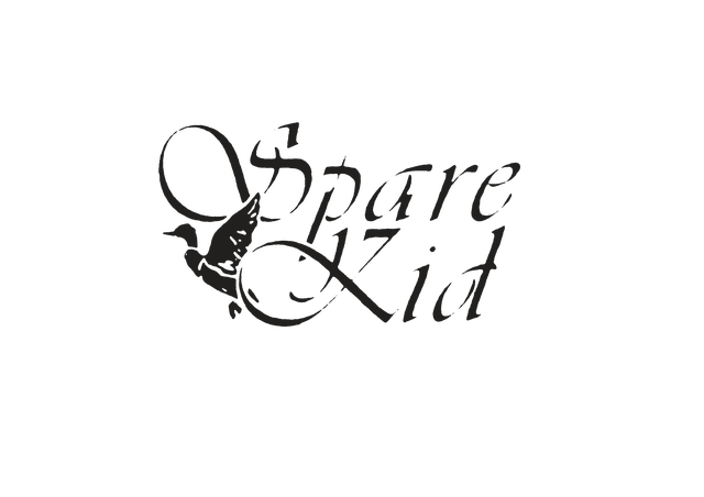 Spare Kid Merch Store