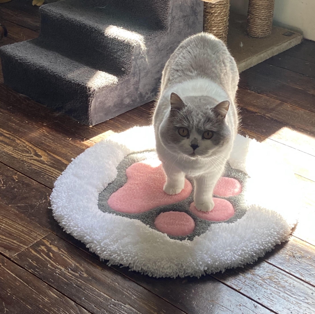 Tapis chat personnalisé tufting 