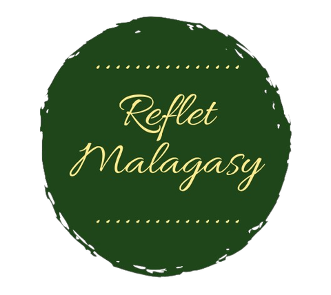 Housse de coussin brodée à la main