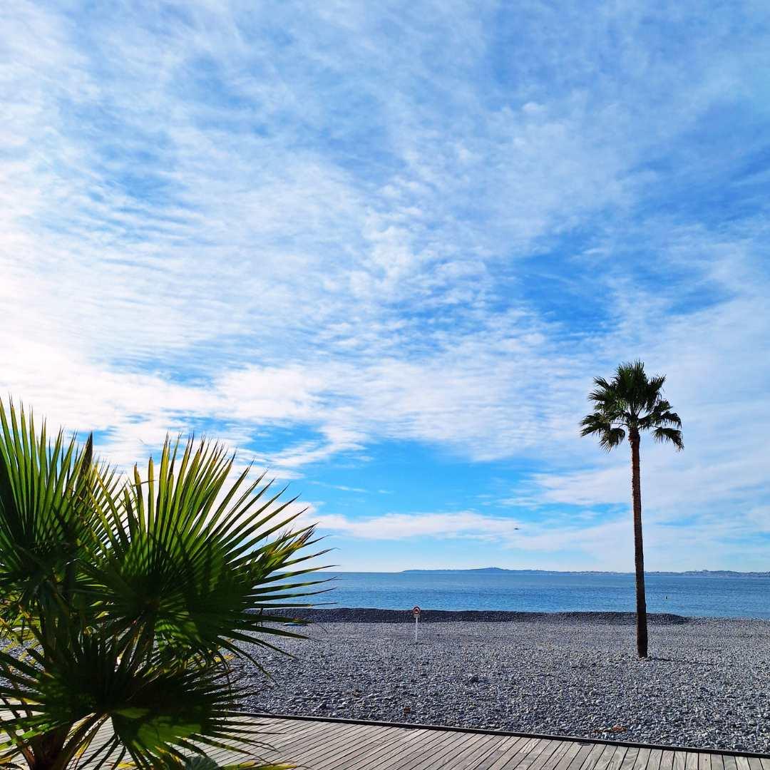 plage côte d'azur palmier mer ciel bleu création en france de bijoux upcyclés
