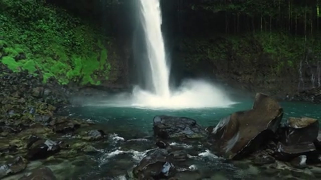 Importadora Todo Natural