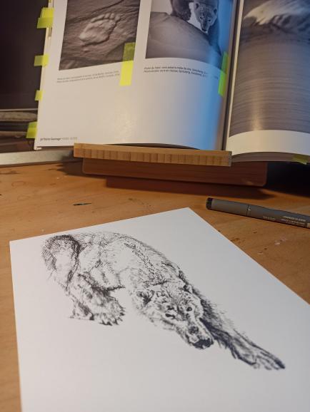 peinture acrylique sur toile faite par marie-lou asseloos