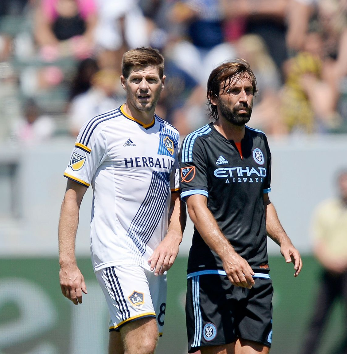 MLS