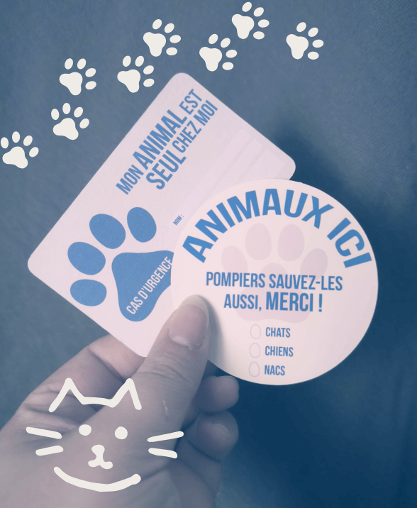Animaux