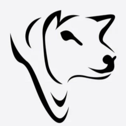 A family run farm now diversifying into offering experiences and merchandise featuring our own animals 🐑🐾