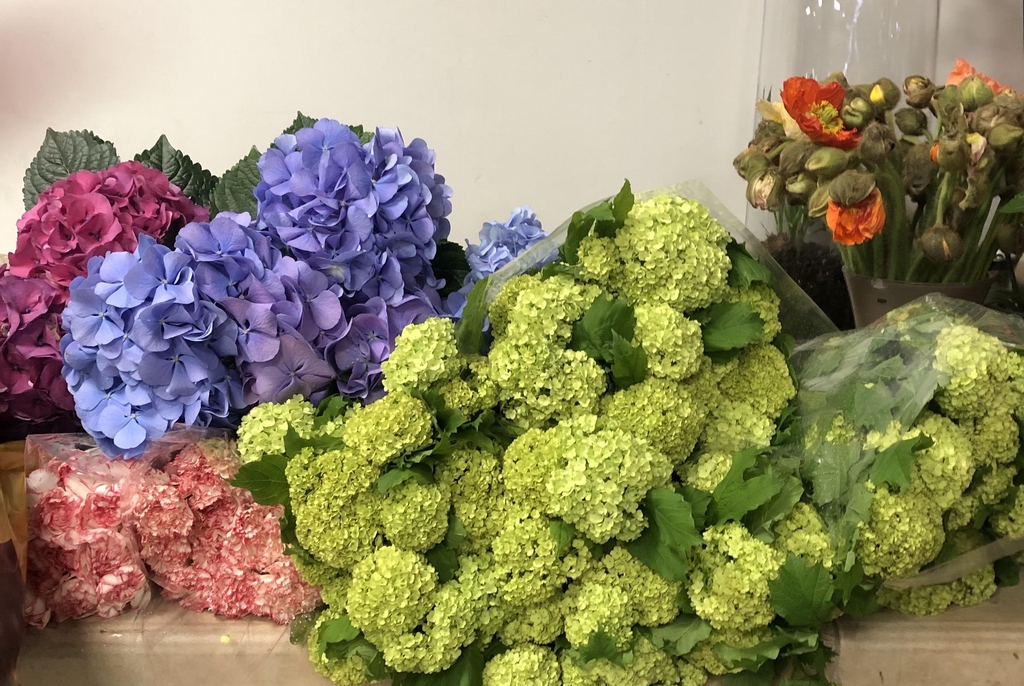 banner_image