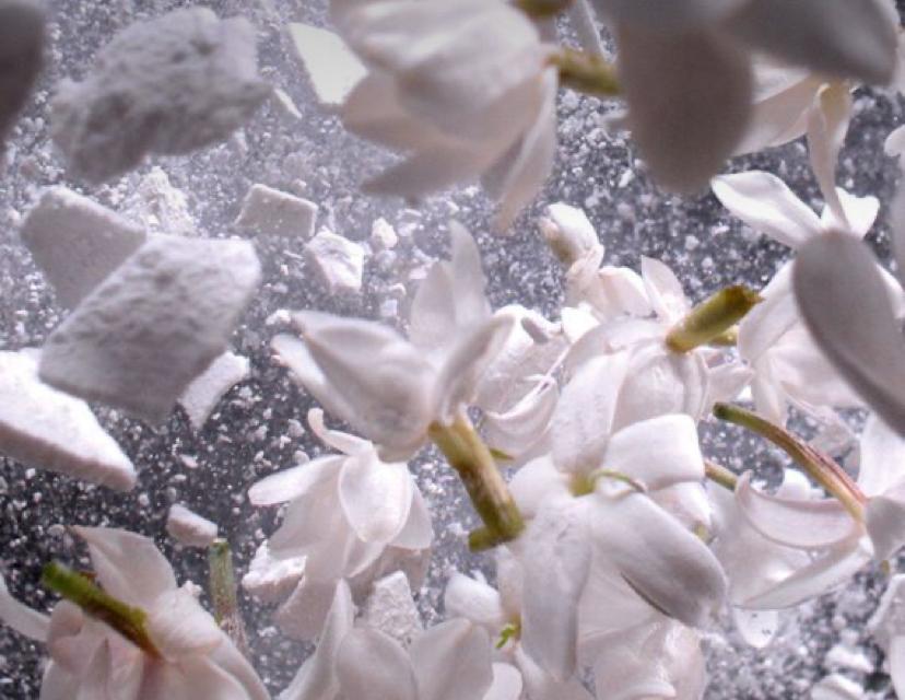 banner_image
