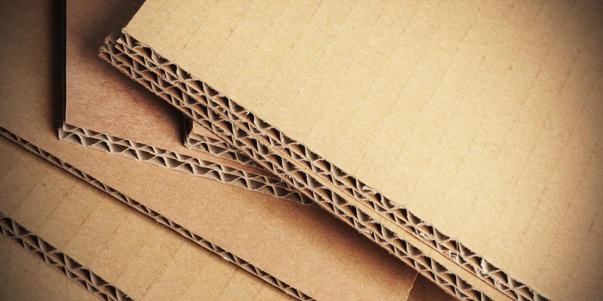 LA RENCONTRE AVEC LA CARTON