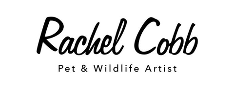 store_logo