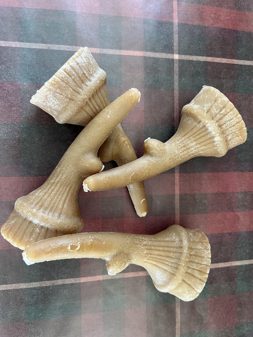 product_list_image_cover