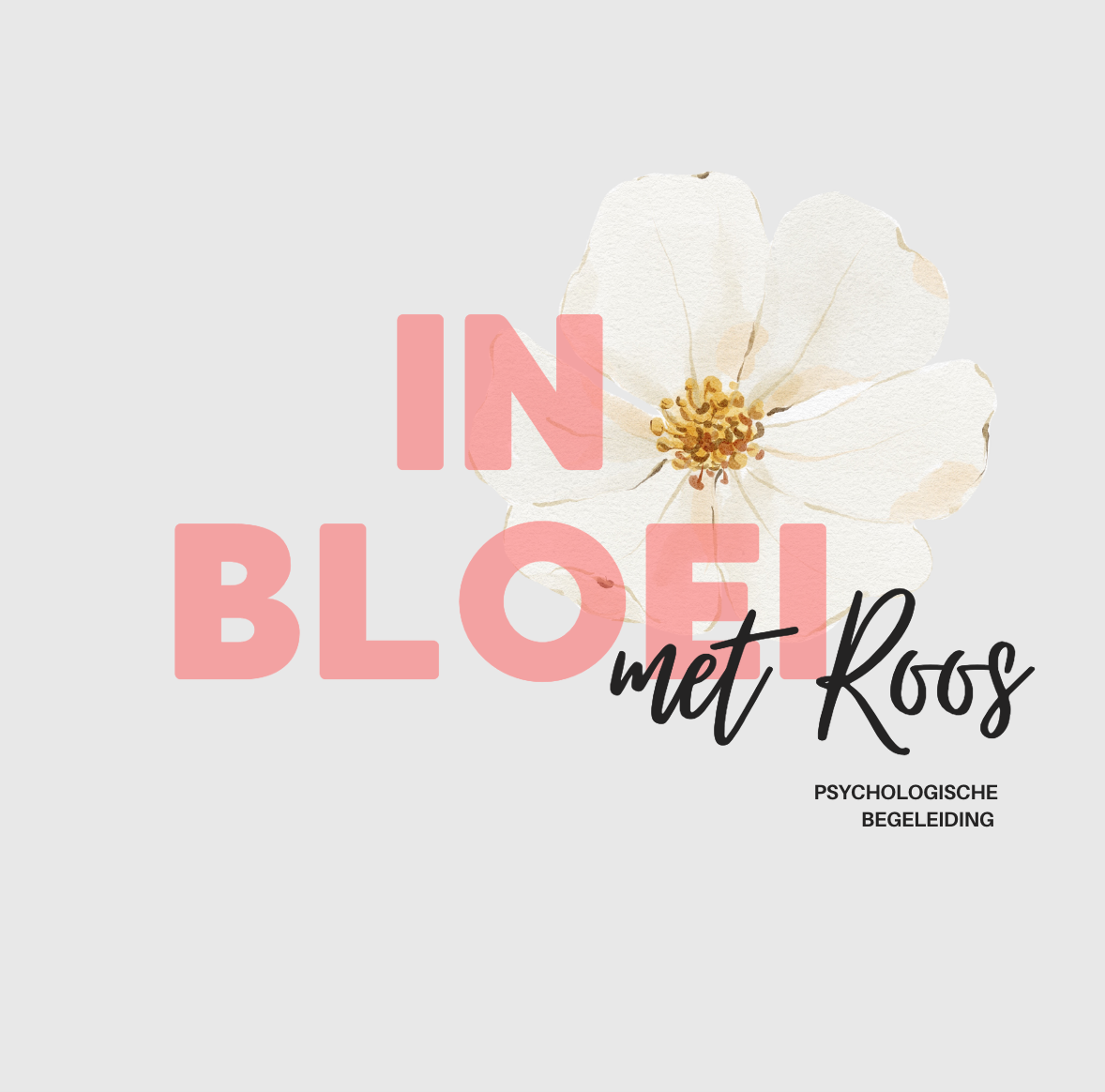 Je weer jezelf voelen; beter in je vel zitten, emotioneel beschikbaar zijn en zin hebben in de toekomst! - in bloei komen - Dat is waar ik je bij wil helpen. Bij psychologenpraktijk “In Bloei met Roos” gaan we door middel van gespreksvoering kijken naar wat er speelt in je leven. We kijken naar oorzaken van klachten en naar mogelijk bepaalde nadelige gedragspatronen die we kunnen doorbreken.