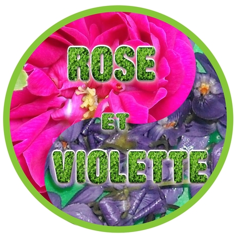logo Rose et Violette
