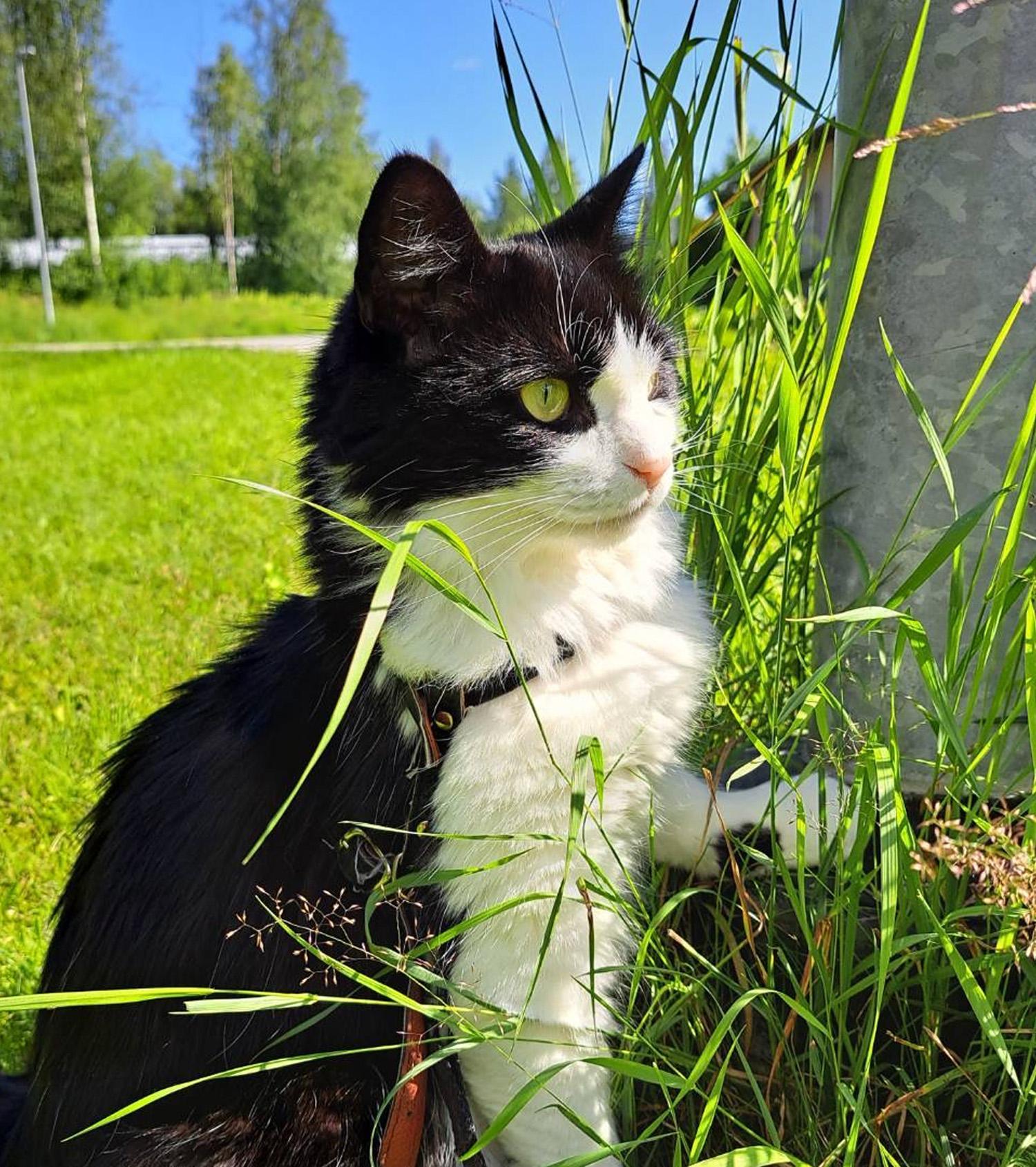 Käsintehdyt, ekologiset lahjat