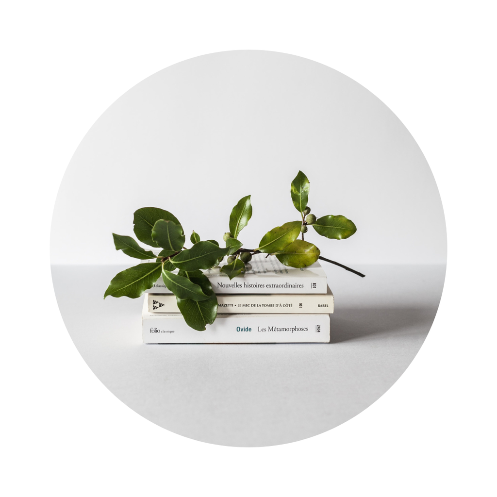 product_list_image_cover