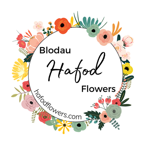 store_logo