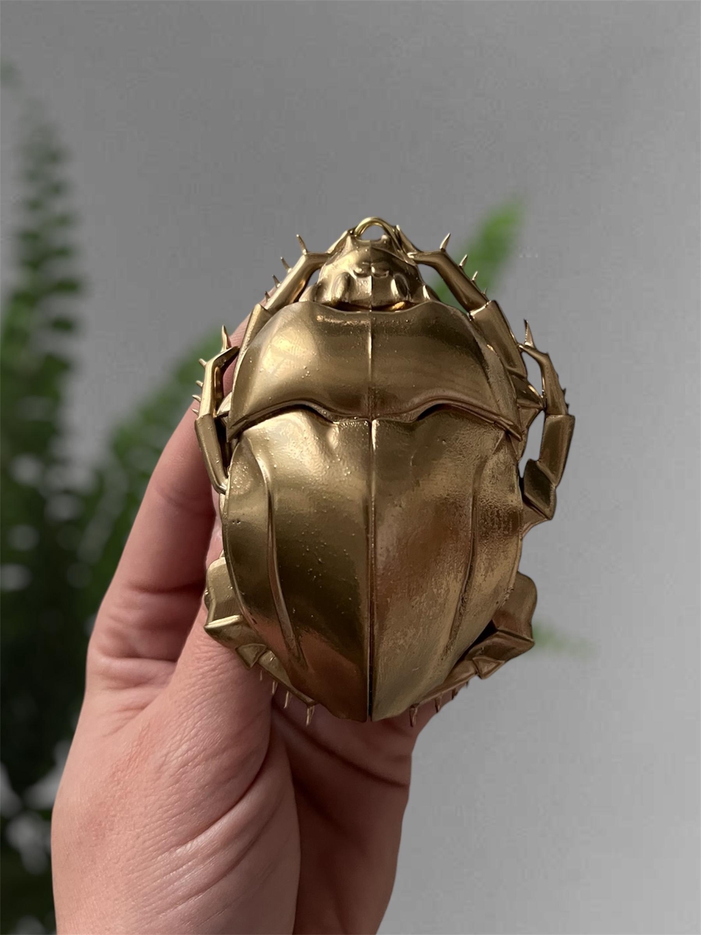 Décorations à fixer au mur représentant des insectes , des ex votos ainsi que des végétaux dans l'esprit des cabinets de curiosités 