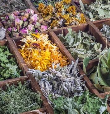 tisane
infusion
menthe
camomille
tilleul
fenouil
ortie
sureau
bardane
valériane
ashwagandha
passiflore
lavande
mélisse