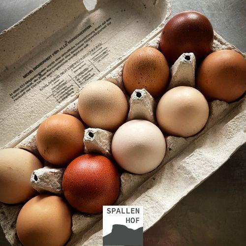 product_list_image_cover