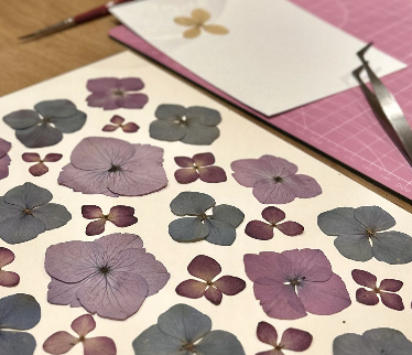 Atelier Herbier 🌸