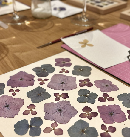 Atelier herbier L'éclipse Tours 37