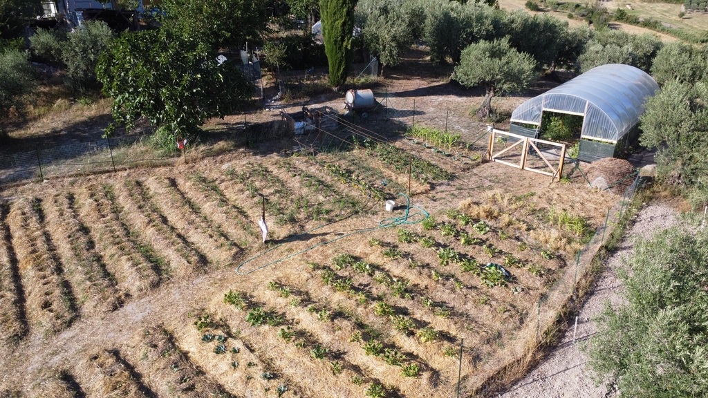 La Viscosiana - Dall'orto alla tua tavola a kmO