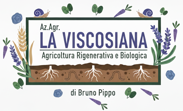 La Viscosiana