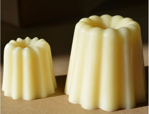 Baume naturel pour l'entretien du cuir composé d'huiles végétales et cire d'abeille